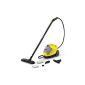 Awesome Steam Cleaner