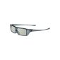 Passive 3D Glasses Panasonic TYEP3D20E (Electronics)