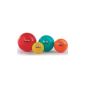 Pezziball exercise ball Standard (Misc.)