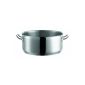 Domestic Professional by Maeser, series Professional, Casserole 28 cm, made of high quality 18/10 stainless steel, induction, liter scale (household goods)