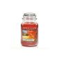 Yankee Candle Natures Paintbrush Housewarmer large (Personal Care)