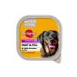 Pedigree Dog Food Pro Extra Vital skin and coat, 10 shells (10 x 300 g) (Misc.)