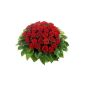 Bouquet, 36 red roses - SHIP AT 02/14/2015 (garden products)