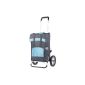 Special Report: Moose shopping trolley ANDERSEN ROYAL Shopper Holly blue, steel frame.  (Luggage)