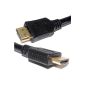 HDMI v1,4 Short cable connector 50 cm SkyHD to amp to plug 1080p 0.5 m connection cable. (Electronics)