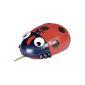 Speedlink Funny Farm 3-button mouse (ambidextrous, USB) Ladybug (Accessories)