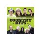 Country Hits 2014 (Audio CD)