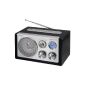 Scott RX 19 radio tuner (FM / AM Tuner, SD / MMC card reader, USB) (Electronics)