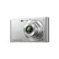 Sony Cybershot DSC-W320 14.1 MP Digital Camera Silver (Electronics)