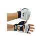 Kwon boxing Hand protection Taekwondo WTF (Sports Apparel)