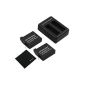 TARION 2 x Replacement 1600mAh Li-Ion Battery Charger + dual for GoPro HERO-401 + 4 AHDBT TARION Fabric (Electronics)