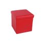 Songmics 38x38x38 cm Stool Pouf Cube Dice Foldable Safe Storage Red LSF10R
