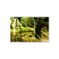 TOPPREIS just today (Morning Sun 110x80cm) Posters Forest MORGENSONNE green Pictures completely framed with stretcher huge.  Art print on canvas.  Conveniently including frame