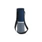 Carrying Insulated Bottle Isolated strap - Transport Picnic Wine Beverages (Office Supplies)