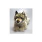 Wolf lying * 39cm * Plush Wolf plush toy (toys)