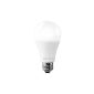 LE 12W LED bulb E27, dimmable equivalent to a 75W incandescent bulb, Daylight White (Tools & Accessories)
