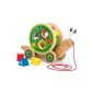 Hape - E0349 - To Pull Toy - Rolling With Snail Game Forms (Toy)