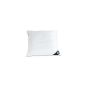 Badenia 03841840123 cushion Irisette Noblesse 80 x 80 cm, white (household goods)