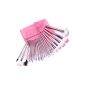 Zestyle 22pcs Professional Cosmetic Makeup Brush Brushes brush with pink bag Set Pink (Misc.)