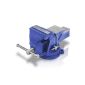 A good vise for the casual user ...