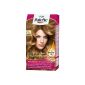 Poly Palette Intensive cream color, 546 Caramel golden blonde, 3-pack (3 x 1 piece) (Health and Beauty)