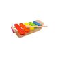 PlanToys 13564052 - Oval Xylophone (Baby Product)