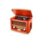 Dual NR 1 CD nostalgia Radio with CD player (AM / FM tuner, frequency scale, wooden cabinet, volume control, stereo AUX IN) brown (Electronics)