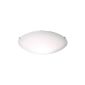 IKEA Ceiling lamp "Lock" wall light frosted glass