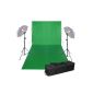 125 W Continuous Photo Studio Lighting Kit * 2 - background support kit telescopic, green bottom 6 * 3m, Soft White Umbrella * 2, studio lighting set, carrying bag oxford (Electronics)