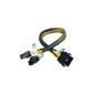 Akasa AK-CB8-8-EXT - Power extension cable - power 8 pin + 12V (M), AK-CB8-8-EXT (Electronics)