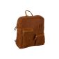 Bugatti Go West backpack 49531002, Unisex backpack bag, brown (dark brown), 36x39x13 cm (W x H x D) (Luggage)