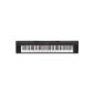 Yamaha NP31 76 Arranger keyboard keys 12 W Black (Electronics)