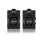 Philips BTS5000G / 10 S5X Wireless Studio speakers with Bluetooth (100 W RMS, aptX, AAC, bass reflex system), gray (Electronics)
