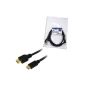 LogiLink Cable HDMI to HDMI Mini High Speed ​​WE 2 meters (Accessories)