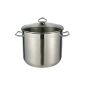 Induction pot, pot - Stainless steel - 15 liters - diameter 28 cm