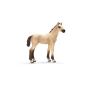 Schleich 13702 - Akhal Teke foal (Toys)