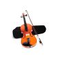 Violin 4/4 violin for beginners incl. Case in three different colors