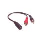 Cable with plug 3.5mm stereo jack female AND male RCA plug x2 in 0.20m (Electronics)