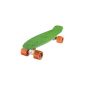 Ridge Skateboard Mini Cruiser Complete Board Fully assembled (equipment)