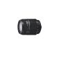 Sony SAL-18250 superzoom (F3.5-6.3 / DT 18-250mm, 14x optical zoom) black (accessories)