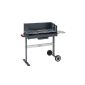 Charcoal grill cart.