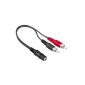 Hama Soundcard Cable 2 RCA plugs / 3.5 mm stereo jack socket;  0.2m (accessory)