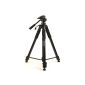 Tripod ProPod picture / video Polaroid 190 cm, includes a carrying bag with extra luxury tripod quick release plate for camcorders and digital cameras (Electronics)
