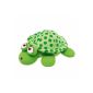 Chicco color changing bath toys, Magic Turtle (Baby Product)