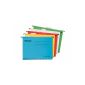 Esselte Pendaflex hanging Set of 10 assorted colors A4 folder (Import United Kingdom) (Office Supplies)