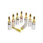 Nakamichi Set of 4 gold-plated banana plugs 24 carat cables up to 6 mm² (Electronics)