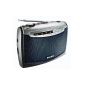 Philips AE2160 / 04 Portable Radio Analog tuner Battery or AC 300 Mw Setting Son (Electronics)