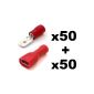 Cosse 100x Electric Plate 6.3 mm Red - 50x 50x Male and Female (For son up to 1mm² 0.4mm) - FREE SHIPPING!  (Others)