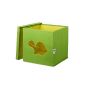 STORE.IT 750,060 toy box with window, 30 x 30 x 30 cm, turtle, green (household goods)