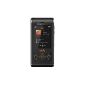 Sony Ericsson W595 mobile phone (Bluetooth, 3.2MP, 2GB Memory Stick, Walkman, FM radio) Lava Black (Electronics)